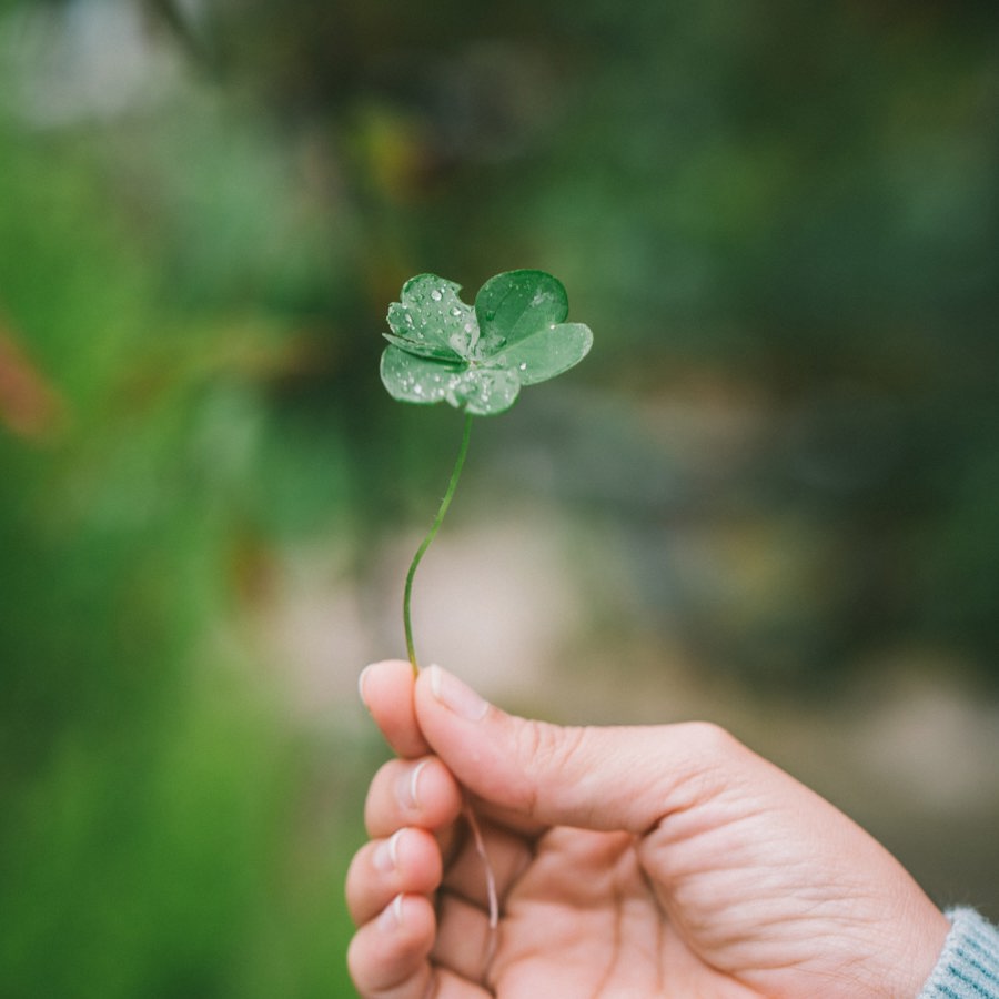 Hoan Vo Tv 9Embj1uk Unsplash