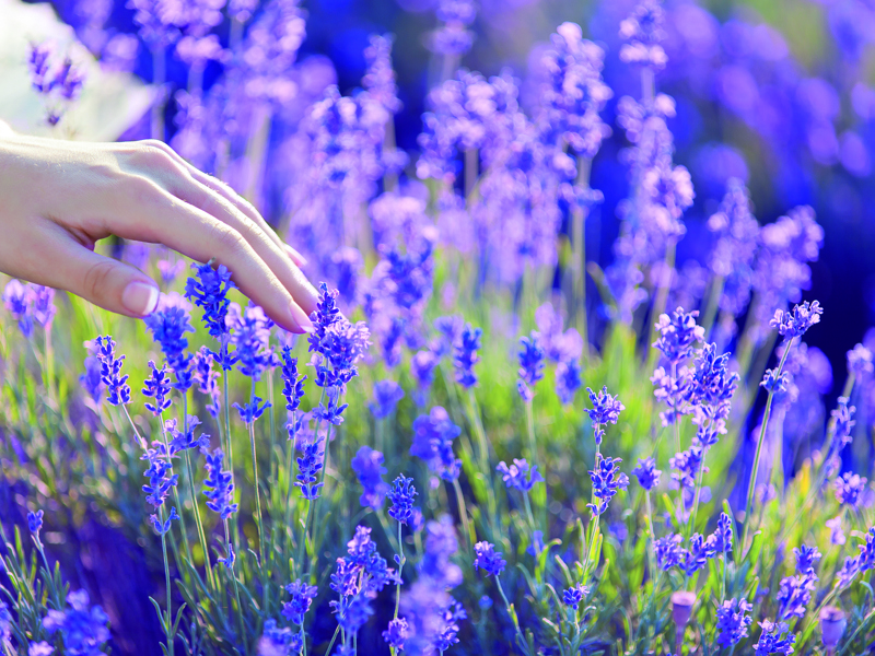 Storing in het delen van verbruiksgegevens